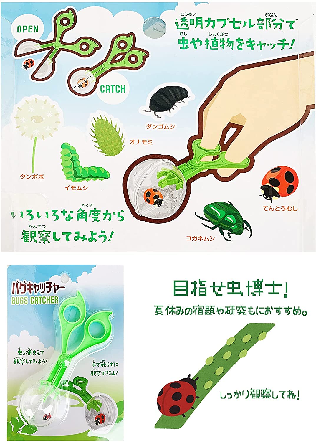 Amazon | 昆虫すごいぜ！ 飼育ケース 2個（スケルトンホワイト） 筒型